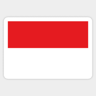 Flag of Indonesia Sticker